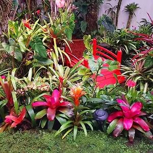 Paradise At Anthurium Hale Séjour chez l'habitant